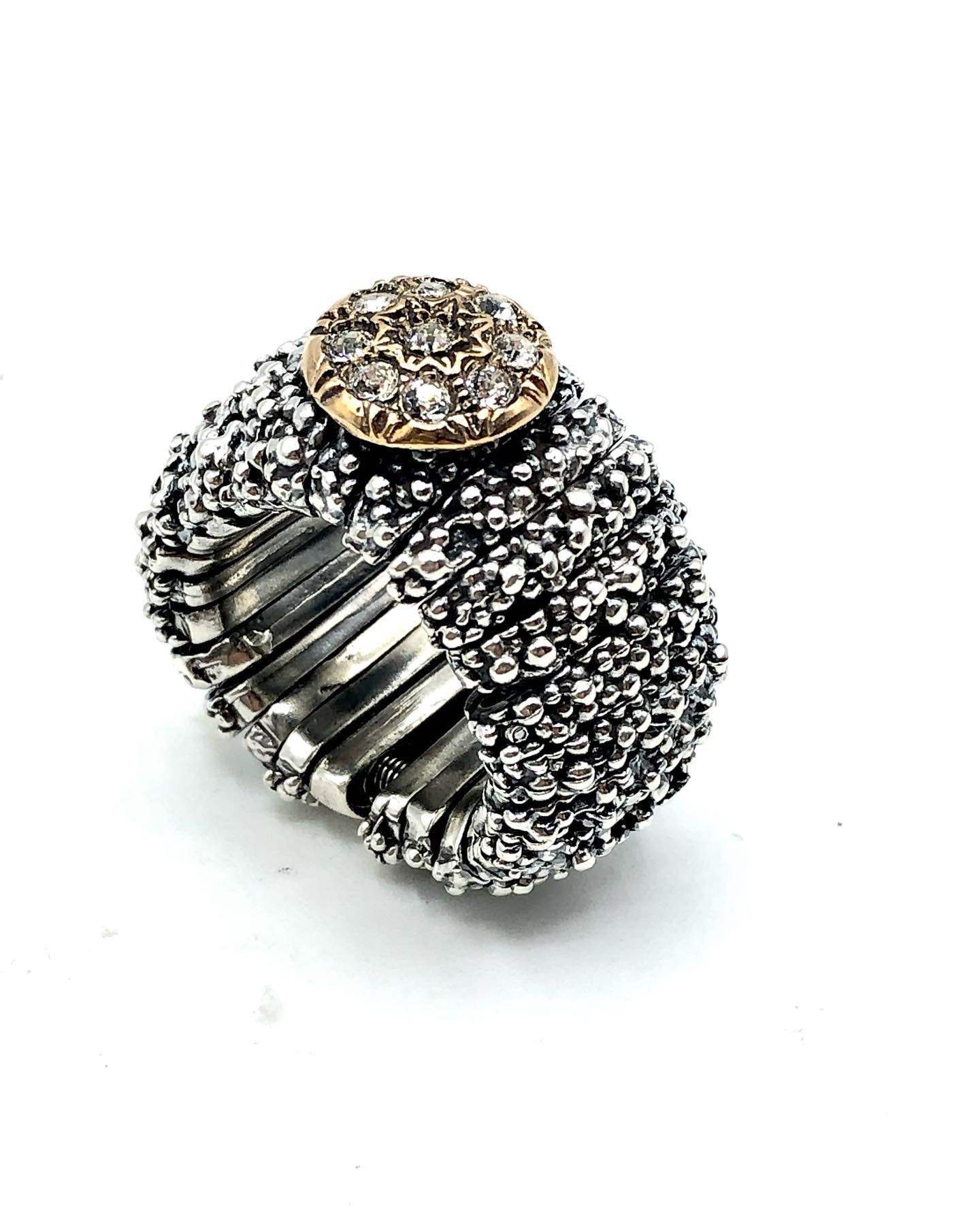 Anello Elastico Rosone, Dario de Maria